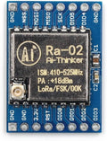 LORA 02