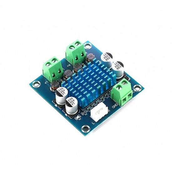 XH-A232 Stereo Audio Amplifier Board