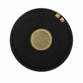Speaker 217 rear-view recreation