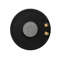 Speaker 217A rear-view recreation